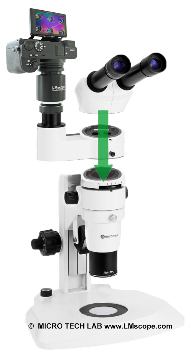 Euromex Zoom Stereomikroskope der DZ-Serie mit CMO mit modernsten Digitalkameras, LM Mikroskopadapter