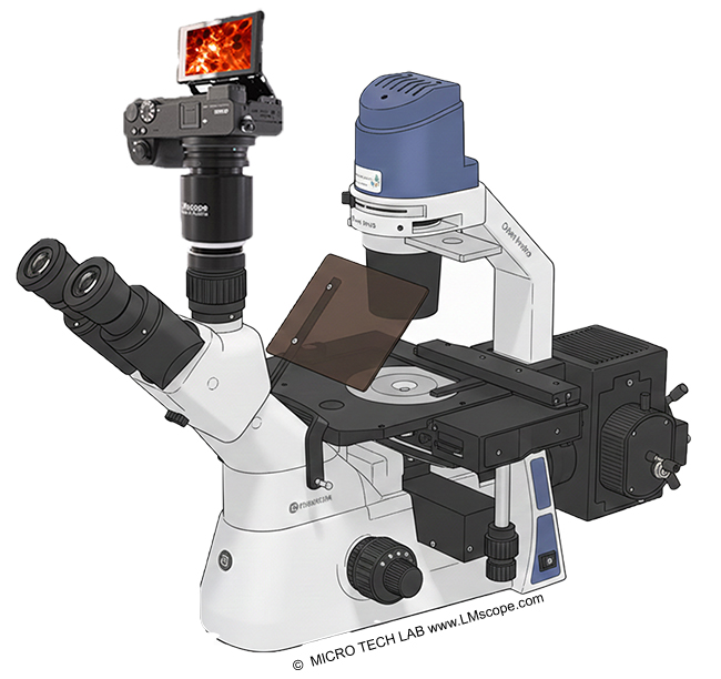 Euromex Oxion Inverso Labormikroskop Mit modernen Digitalkameras ausstatten, LM Mikroskop dapter Mikroskopadapter