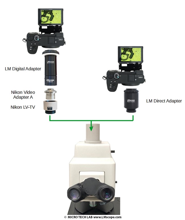 Montage Mikroskopkameras mit Kameraadapter auf Nikon EL200 EL300 LV-TV VideoadapterA