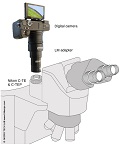 Nikon Eclipse 90i: Statten Sie das motorisierte Arbeitstier mit moderner Kameratechnik aus - mit unseren Adapterlsungen!