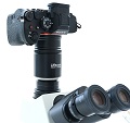 Die spiegellose High Speed Profi-Systemkamera Sony Alpha 9 III erffnet neue Mglichkeiten am Mikroskop