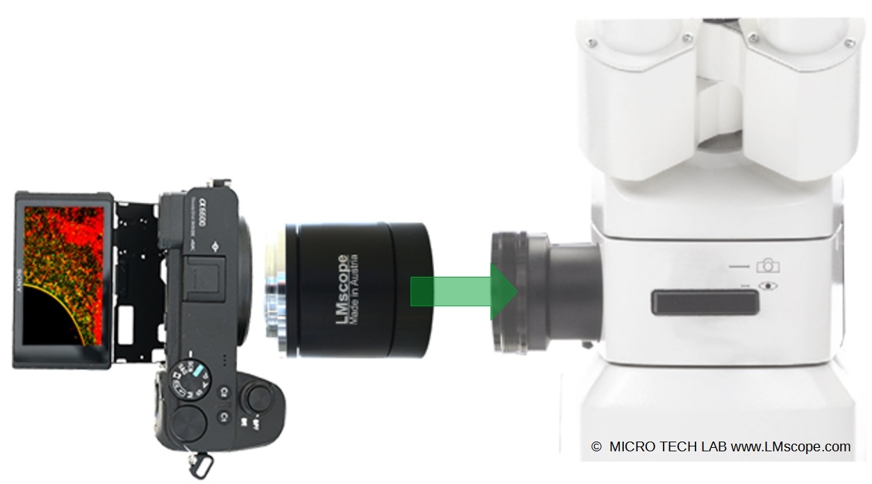 Adapterlsung fr Digitalkameras :Zeiss Zwischentubus 425146-9031-000 Adaptermontage Mikroskopkamera