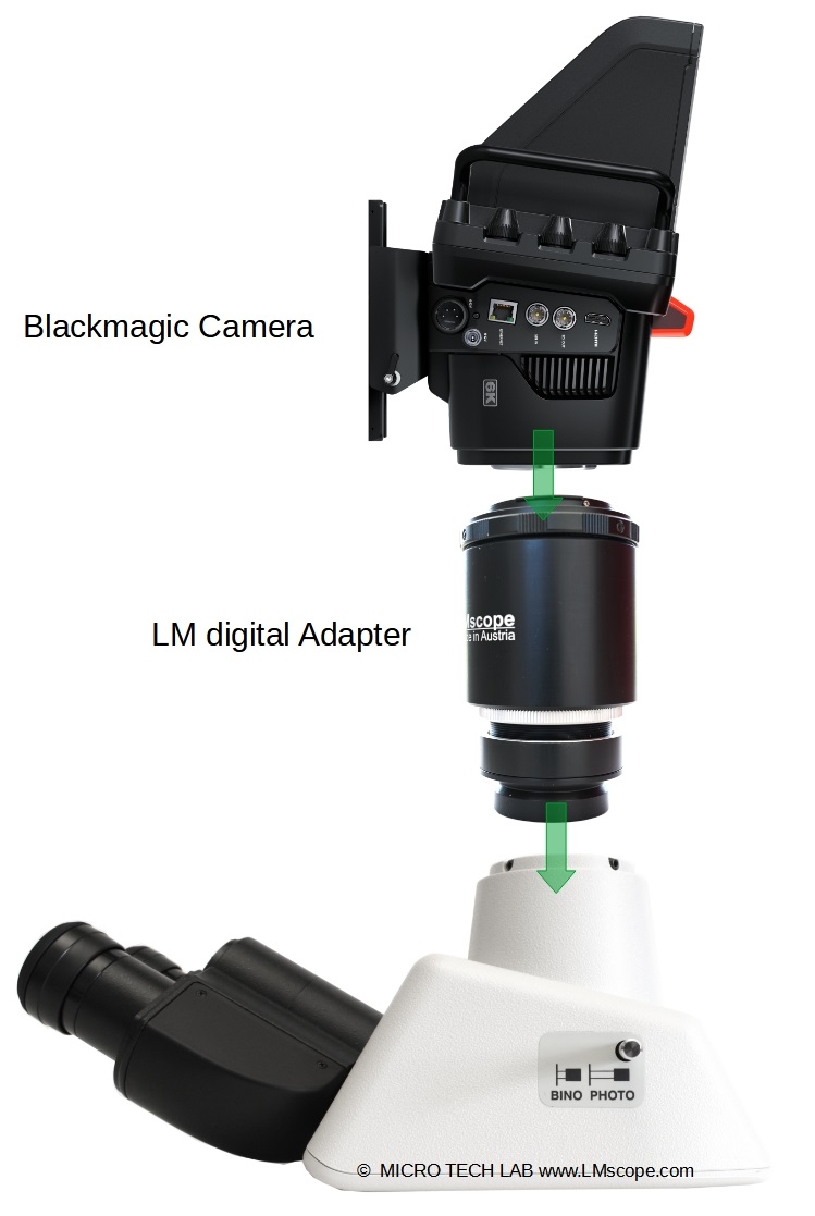 Mounting Blackmagic Studio Camera 6K Pro on the microscope with LM microscope adapter