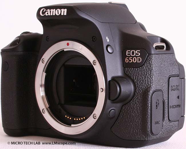 Test: The Canon EOS 50D on the microscope – a DSLR classic with