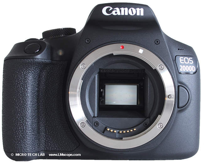 Le Canon EOS 2000D comme appareil photo de microscope : un