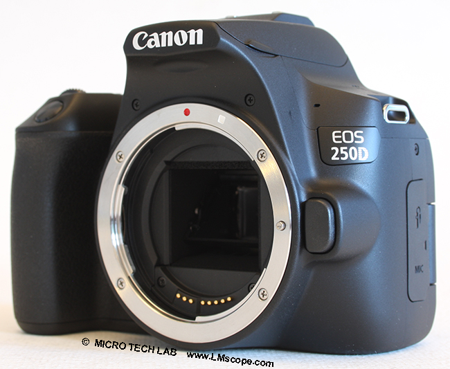 Canon EOS 250D DSLR Camera Body Only