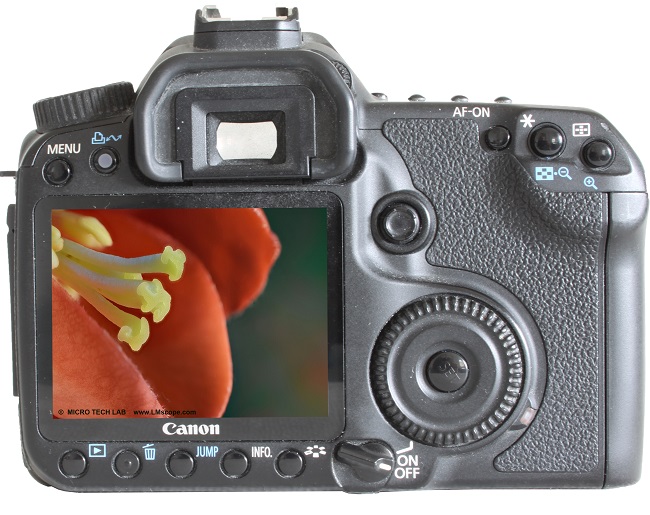 Test: The Canon EOS 40D on the microscope – a DSLR classic with an advanced  sensor