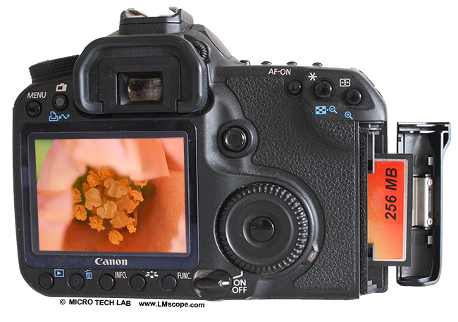 Test: The Canon EOS 50D on the microscope – a DSLR classic with