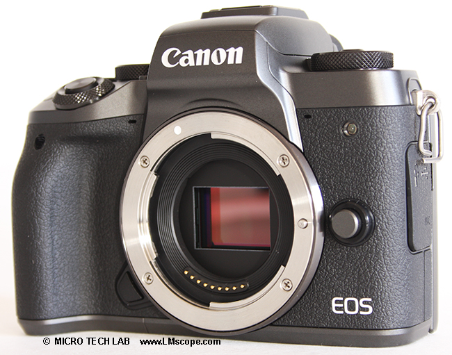for you: Canon EOS M5 system camera with a microscope