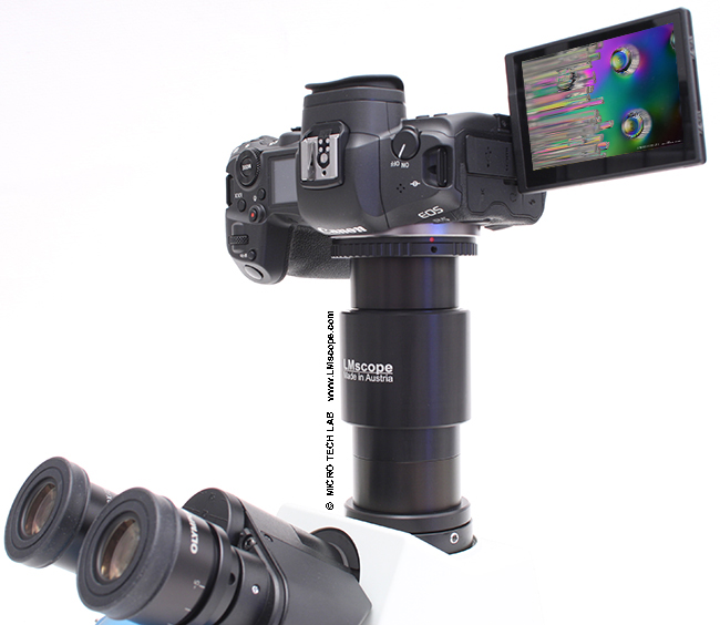 Test: Canon's mirrorless, full-frame EOS R5 camera on the microscope