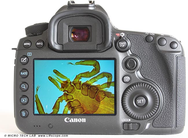 Canon EOS R10: probamos la 850D sin espejo (o es la 77D?) 