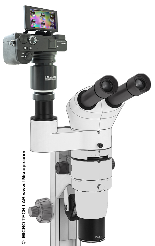 Mikroskop Kamera Adapter: Euromex DZ 1600 CMO Stereomikroskop mit modernen Digitalkameras ausrüsten