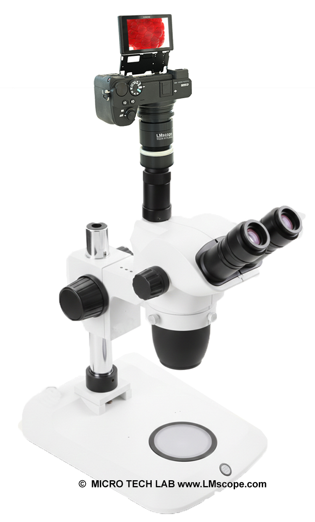 Stereomikroskop  Euromex Nexius Zoom Nexiuszoom mit Fototubus und Digitalkamera /Adapterl�sung Systemkamera Top Qualit�t