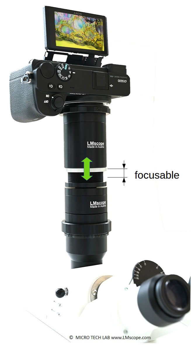 Focusable LM Digital SLR widefield microscope adapter, individual adjustment between eyepiece and phototube (parfocality)