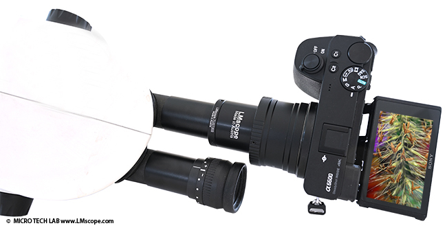 LM Adapterlösung für Okulartubus Stereomikroskop