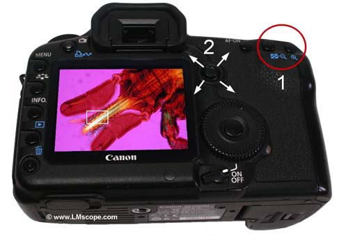 Canon EOS 5D Mark II funcin de ampliacin microscopio