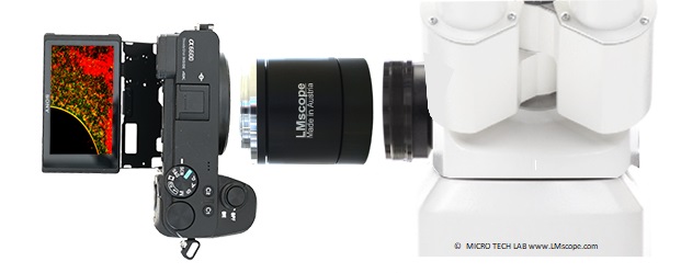 Adapterlsung fr Digitalkameras fr Binokularer Fototubus mit horizontalem Ausgang Zeiss Axiovert