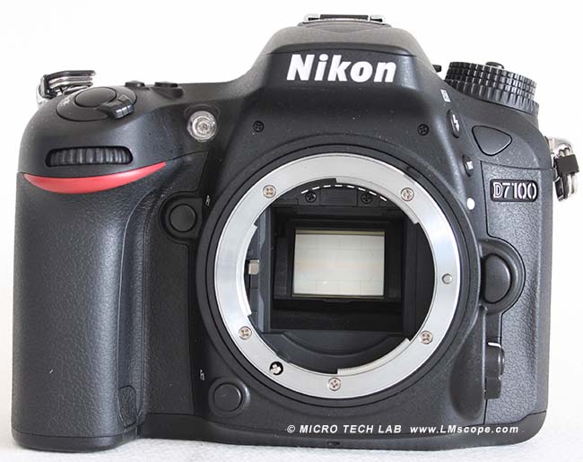Nikon D3400: Análisis en Profundidad