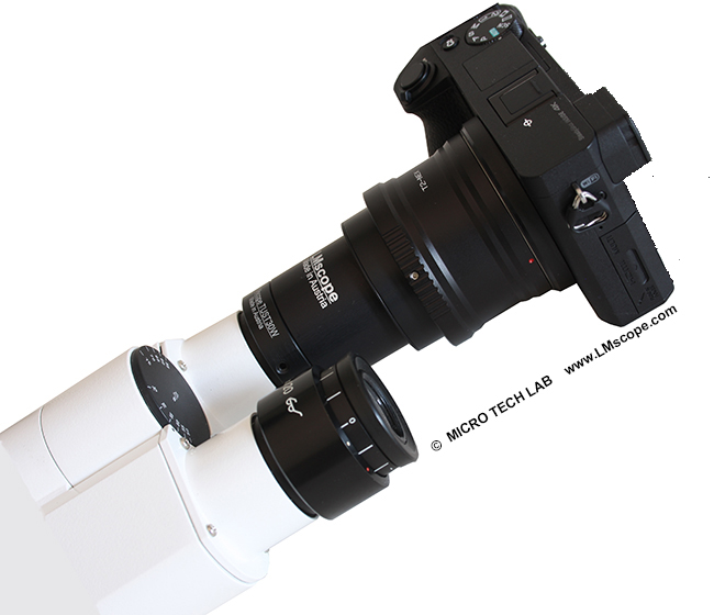 The Sony Alpha 7 III – a great full-frame camera for photomicrography when  used with one of our high-end LM microscope adapters