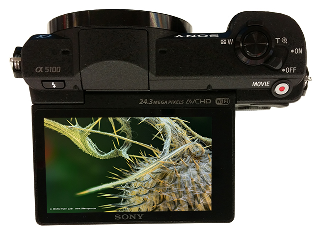 La Nikon D5300 en un microscopio, la versión más actual de las