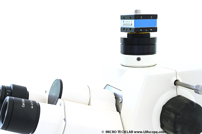 Equipe el microscopio Zeiss con un tubo fotogrfico de 30 mm de dimetro interior con cmaras con montura C