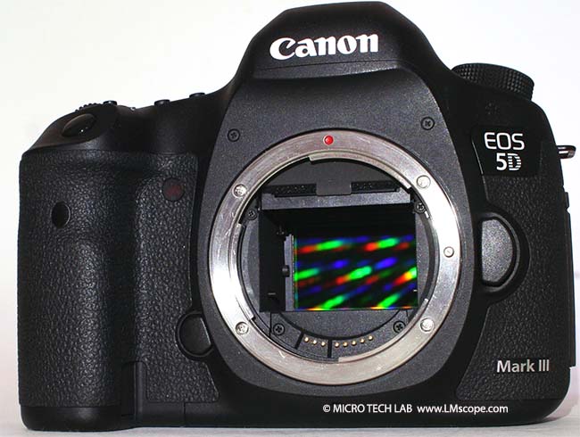 voor het geval dat piramide Gestaag Testbericht: Canon EOS 5D Mark III