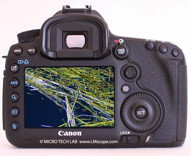 Okkernoot stil Werkgever Testbericht: Canon EOS 5D Mark III