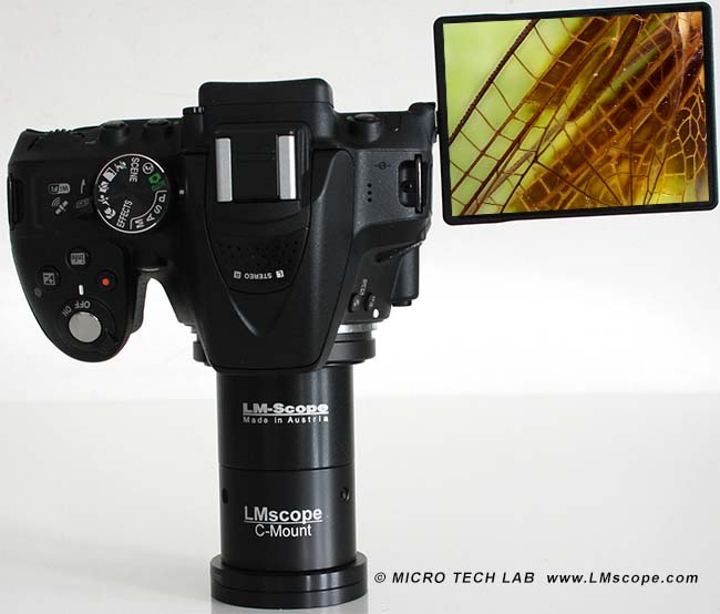 Appareils photo réflex à miroir (DSLR) Nikon pour débutants au microscope