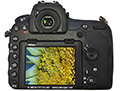 Le capteur de pointe du Nikon D850 est galement extrmement intressant pour la microscopie et la macroscopie.