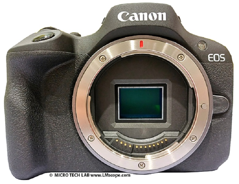 Prueba de Canon EOS R100 con solucin adaptadora LM en el microscopio: cmara de sistema sin espejo econmica con 24MP