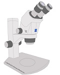 Stereomikroskop Zeiss Stemi 1000: Digitalkameras auch am Okulartubus mit LM Adapterlsungen , Hohe Bildqualitt