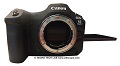 Canon EOS R5 Mark II am Mikroskop getestet: Modernste Technik, kombiniert mit profesionellen Mikroskopadaptern