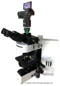 Newsletter 06/2026: LM Direct Microscope Adapter solutions: LM Microscope Adapter: Benefit from high performance and maximum image quality in a compact design