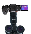 Kameratest: Die Sony Alpha 7R VI im professionellen Mikroskopeinsatz