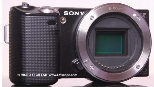 Sony NEX mirrorless lens cameras: NEX-5 and Sony NEX-3 in microscopy